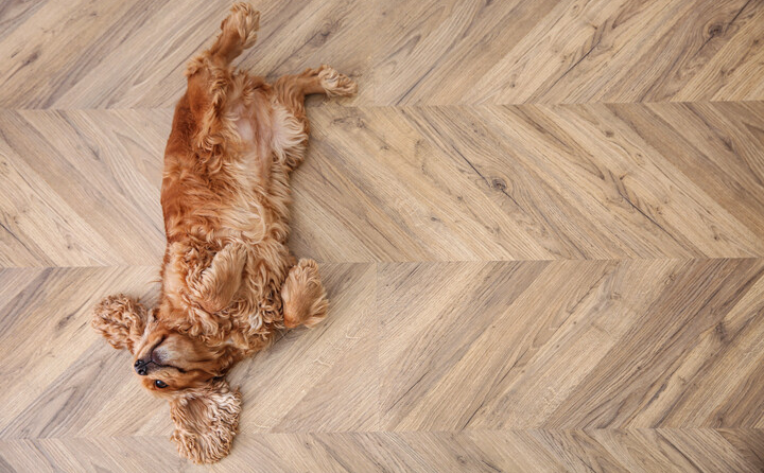 Pet-Friendly Flooring1